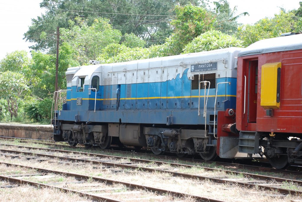 In memory of the Tsunami train.

 Clear side view of EMD G12 Class M2 591 “ Manitoba”. The painted wave on the grey background is to indicate it was a Tsunami victim.
Captured in Thalwa, on the main line 9th Sep 2012  
