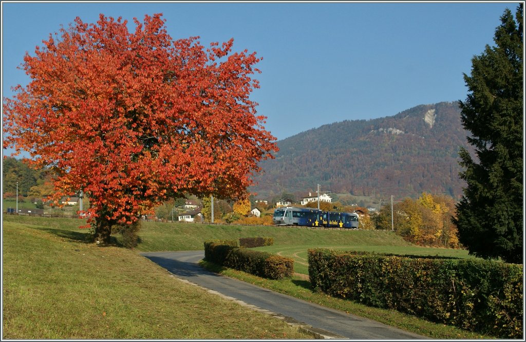 IN the golden October is it not easy to see the CEV  star train . 
By the Castle of high-city, 01.11.2011  