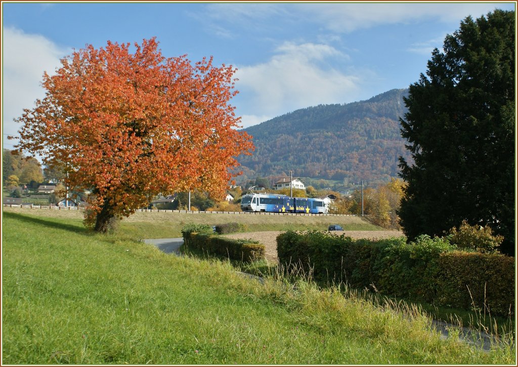 In the marvellous autum color is the  Train des Etoiles  on the way to  Les Pleiades . 
30.10.2010