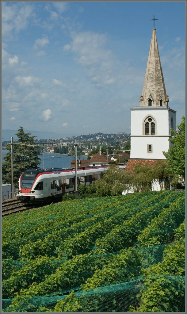 In the vineyards: a  Flirt by the Church of Villette VD.
29.08.2012