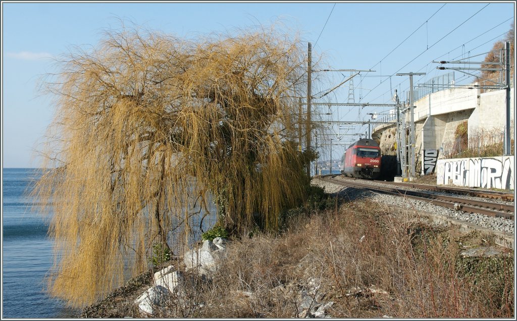 More tree tan train - Re 460 by Rivaz.
22.01.2011