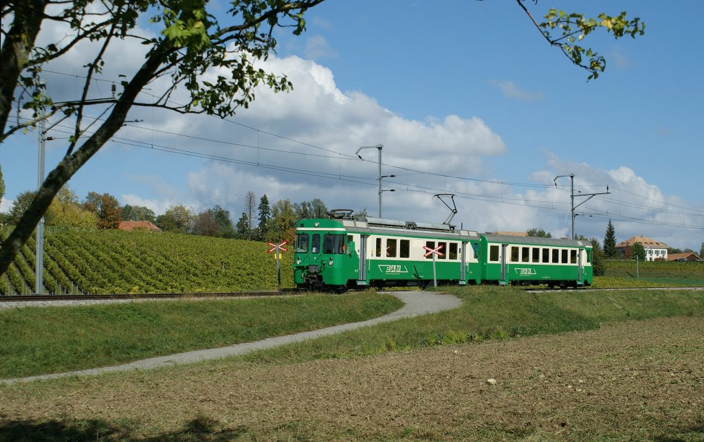 On the way to Morges: BAM Local train. 
13.10.2009