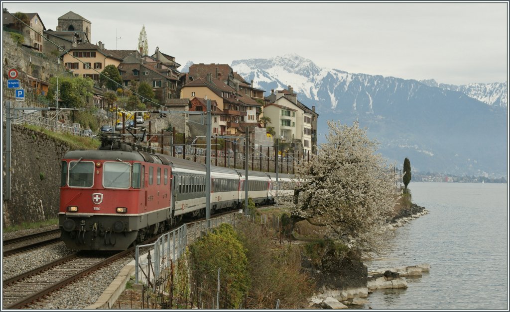 Re 4/4 II 11196 with an IR by St Saphorin.
09.04.2012