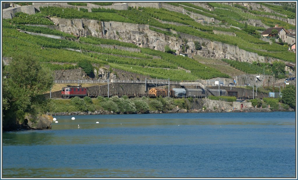 Re 4/4 II wiht a cargo train by Rivaz. 
07.07.2010