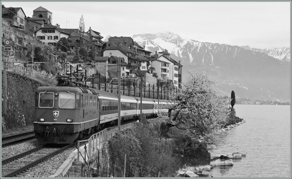 Re 4/4 II wiht an IR by St-Saphorin.
09.04.2012