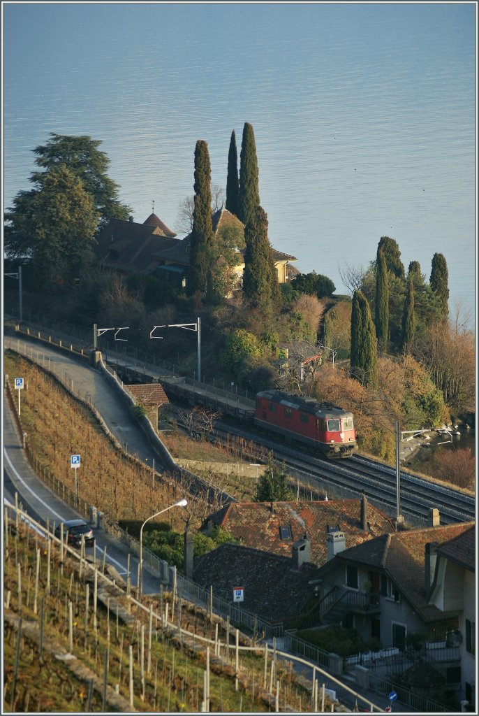 Re 4/4 II with a Cargo train between Vevey and St-Saphorin. 
08.02.2011