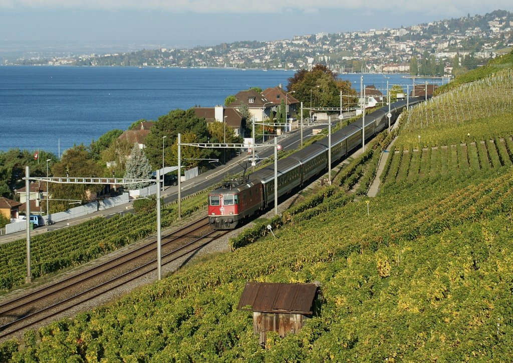 Re 4/4 II with an IR to Brig in the Lavaux vineyards.
14.10.2009