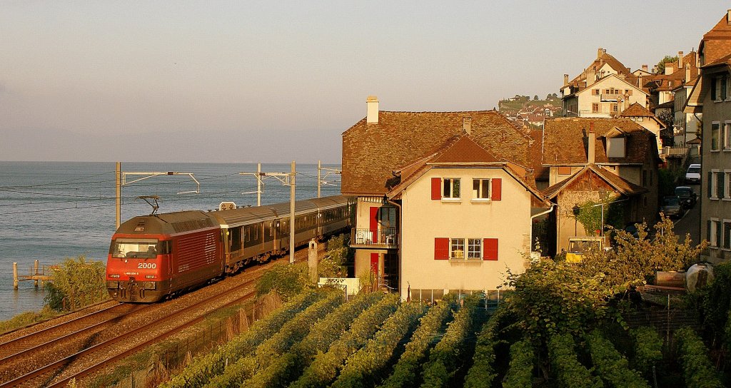 Re 460 004-5 with an IR to Geneva in the late summer morning in St-Saphorin. 
15.09.2008