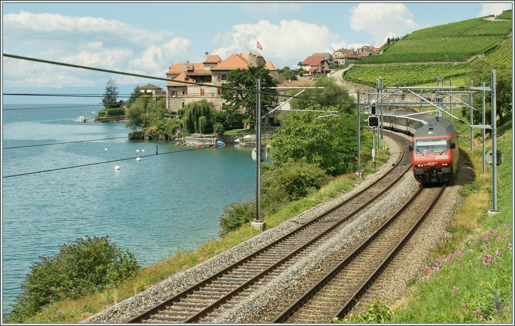 Re 460 008-6 with an IR to Brig by Rivaz. 
03.08.2010