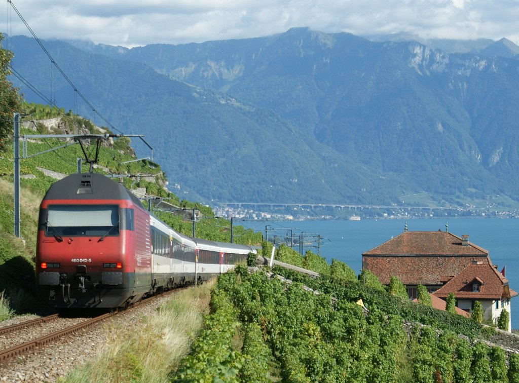 Re 460 042-5 on the vineyard by Chexbres. 
05.09.2009