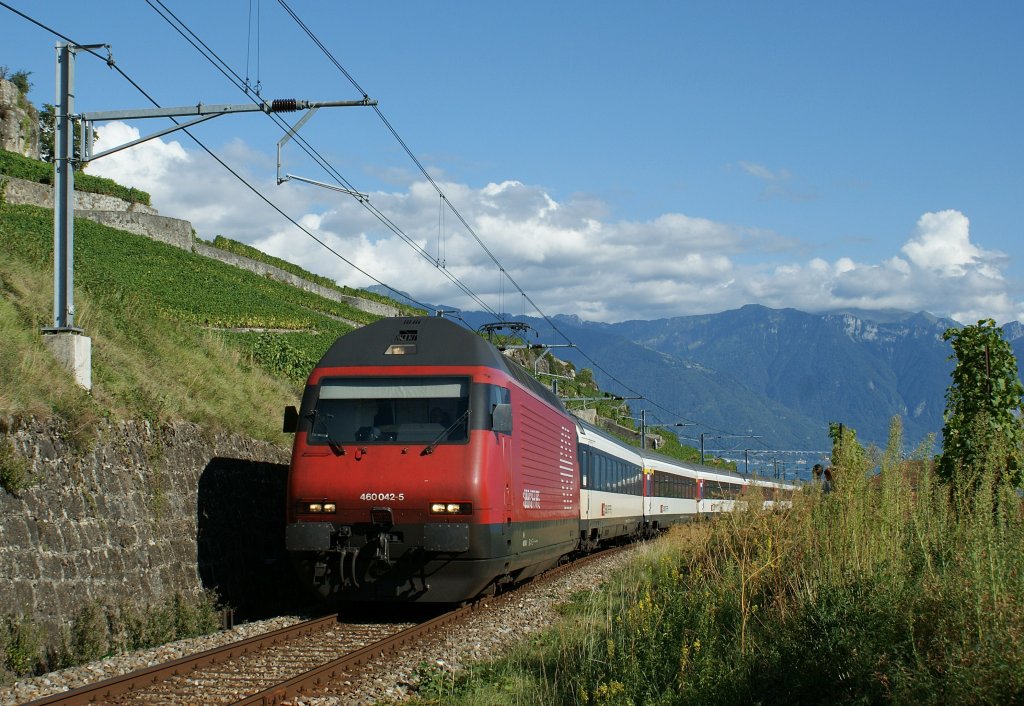 Re 460 042-5 with a special IR Vevey - Luzern in the vineyard by Chexbres. 
05.9.2009