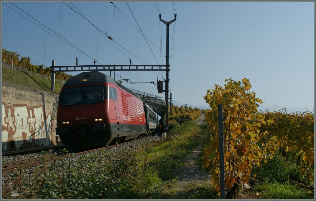 Re 460 081-3 with an IR to Geneva by Cully.
22.10.2011