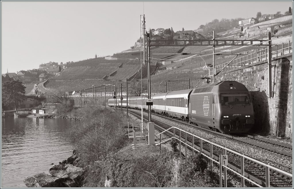 Re 460 081-3 with an IR between Rivaz and St-Saporin. 
24.01.2011 