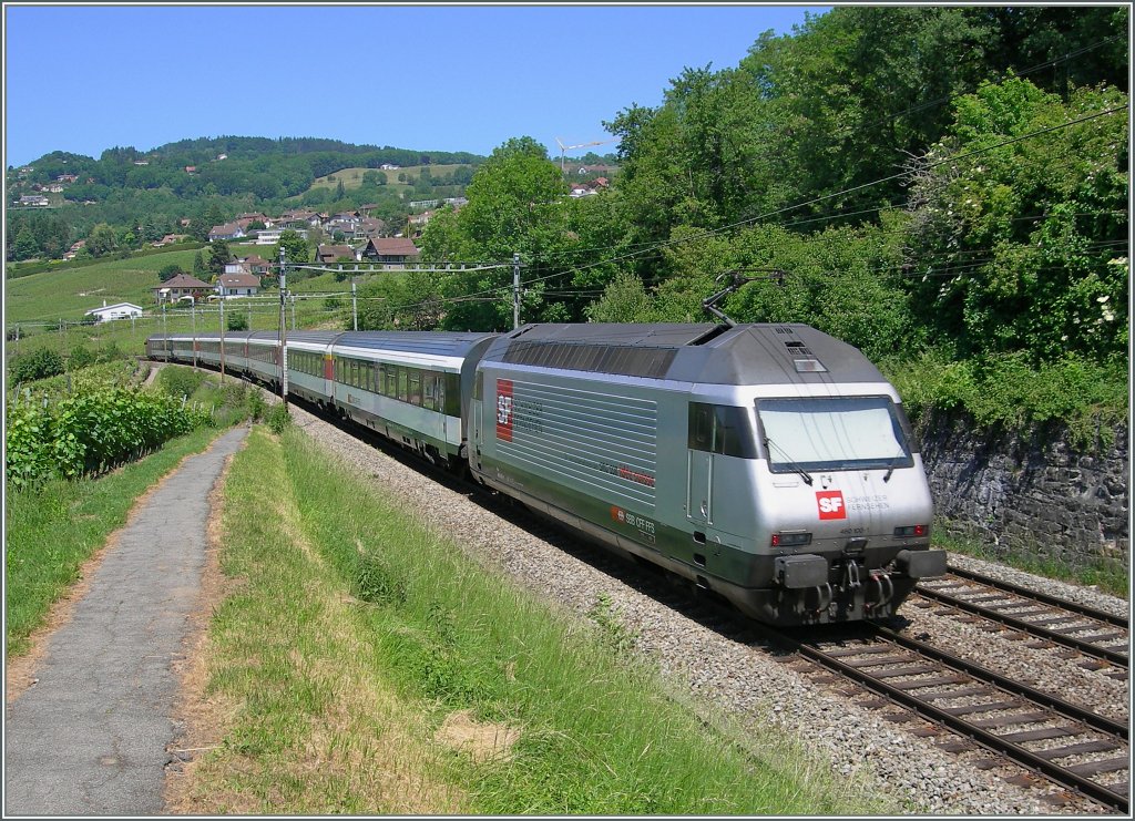 Re 460 100-1 with an IR to Genve-Aroport by Bossire. 
25.05.2011