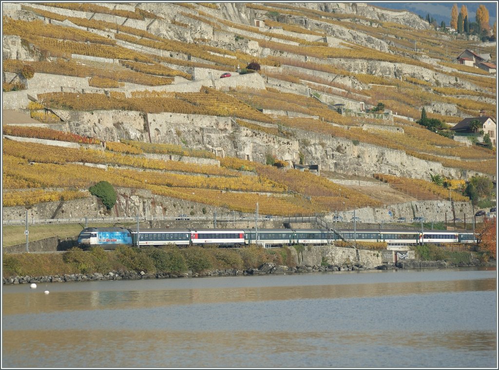 Re 460  ide suisse  with an IR between St Saphorin and Rivaz. 
04.11.2010