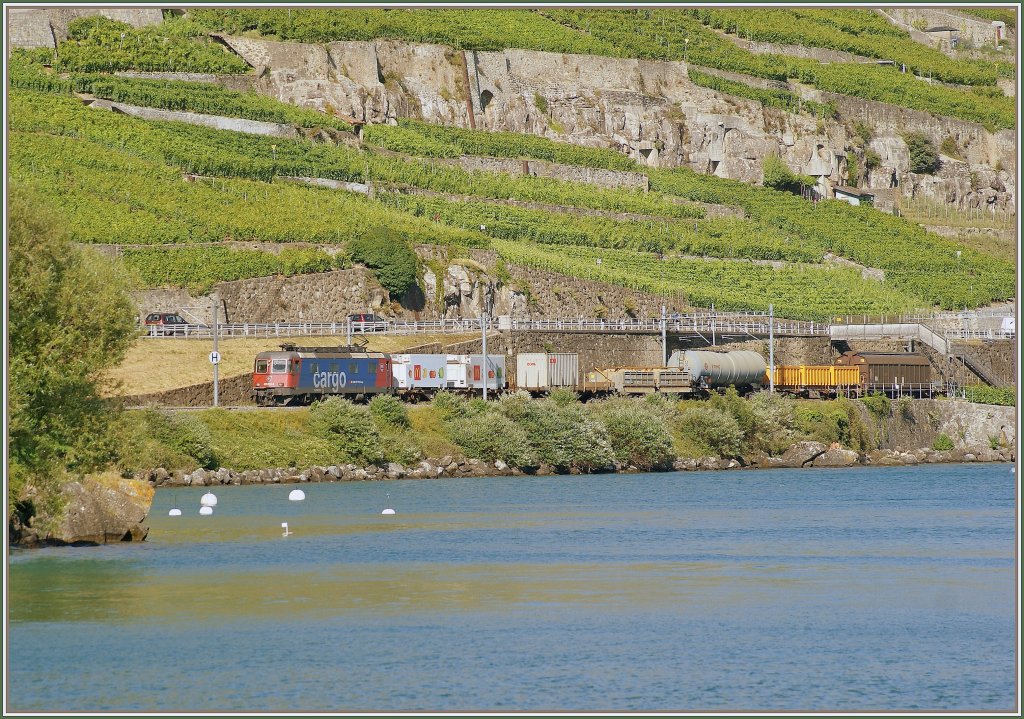 Re 620 013-5 with a cargo train by Rivaz. 
07.07.2010