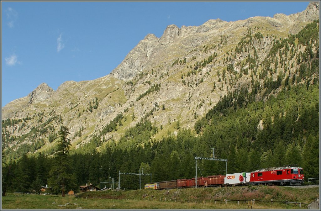 RhB Ge 4/4 II with his Cargo train is laving Spinas. 
12.09.2011 