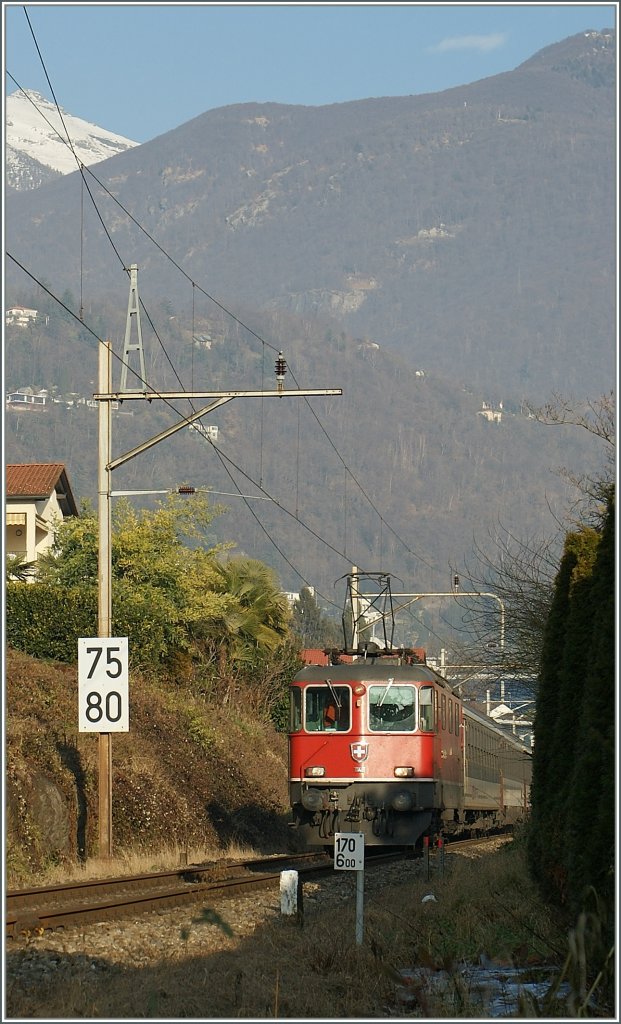 SBB Re 4/4 II 11146 with an IR near Locarno. 
23. 01.2012