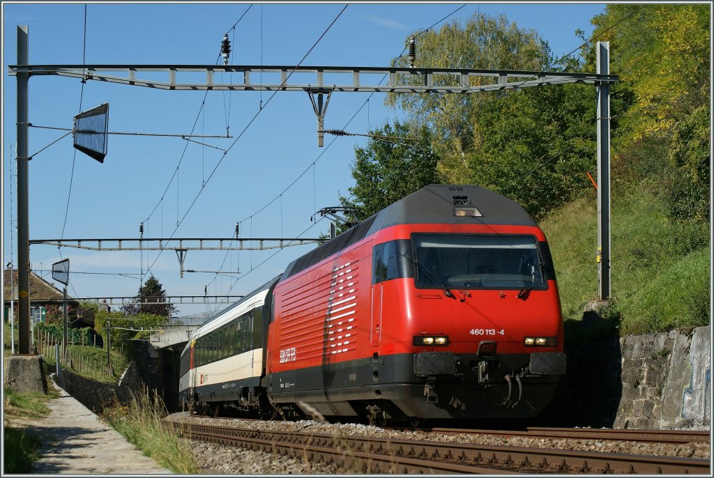 SBB Re 460 113-4 between Bossire and Grandvaux on the public footpath. 
03.10.2010