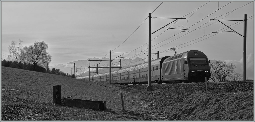 SBB Re 460 with an IC on the way to St-Gallen between Palzieux and Romont. 
12.01.2013