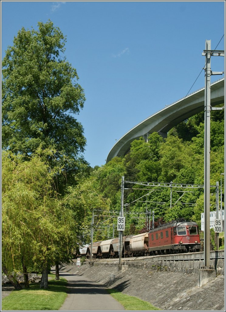 SBB Re 6/6 by near Villeneuve. 
14.05.2013