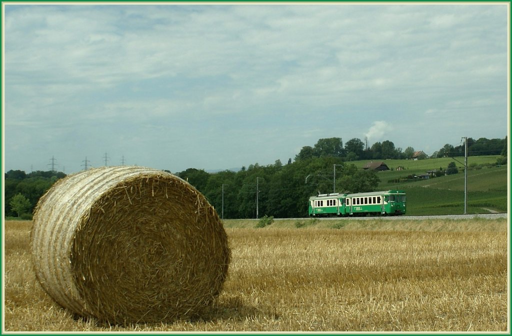 Summertime...
(BAM local train by Vufflens le Chteau.)
24.07.2009