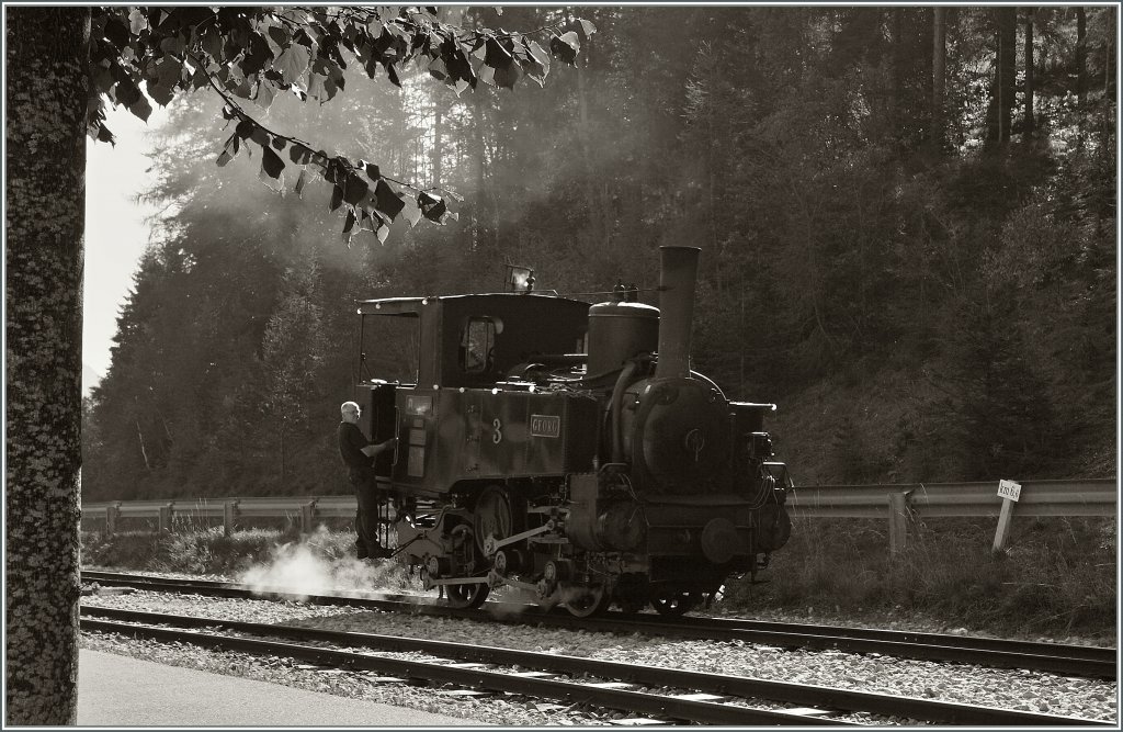 The Achneseebahn steamer N 3  Georg  in Seespitz. 
16.09.2011