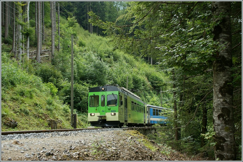 The ASD BDe 4/4 403 on the way to Les Diablerts in the wood between Les Fontanalles and Les Planches.
05.08.2011