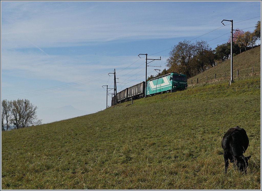 The BAM Ge 4/4 21 with a Cargo Train by Chardonney-Château.
17.10.2017