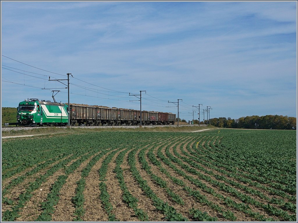 The BAM Ge 4/4 22 with a Cargo train near Reverolle.
17.10.2017