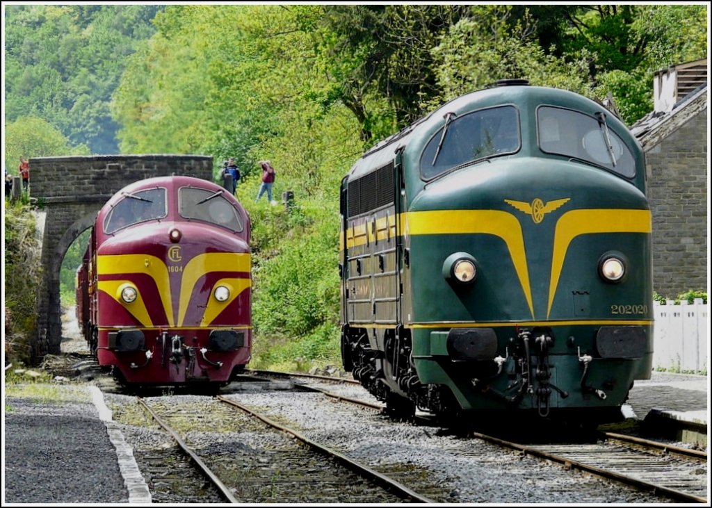 The Diesel engines 202.020 and 1604 photographed in Dorinne-Durnal on May 16th, 2009.