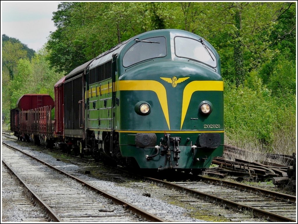 The heritage Diesel engine 202.020 (former CFL 1602) pictured in Dorinne-Durnal on May 16th, 2009.