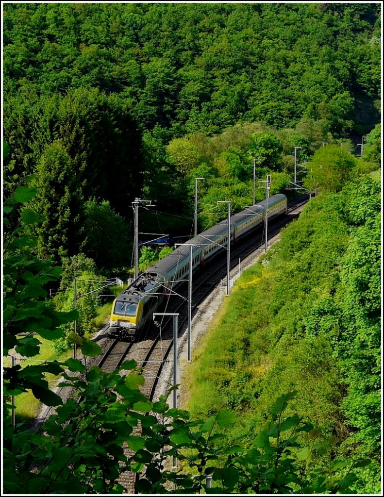 The IR 119 Liers - Luxembourg City will soon arrive in Kautenbach on May 24th, 2009.