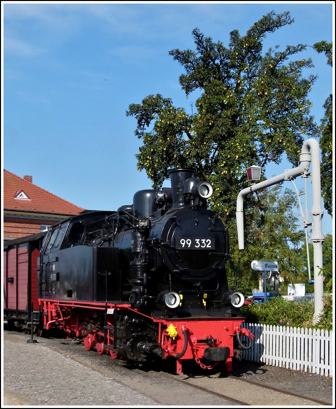 The Molli steam locomotive 99 332 photographed in Khlungsborn West on September 25th, 2011. 