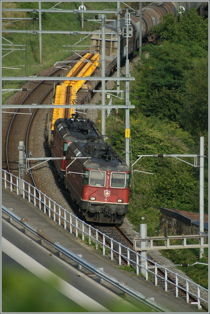 The Re 4/4 II 11266 and an other one with a Cargo train by Riaz. 02.08.2011

