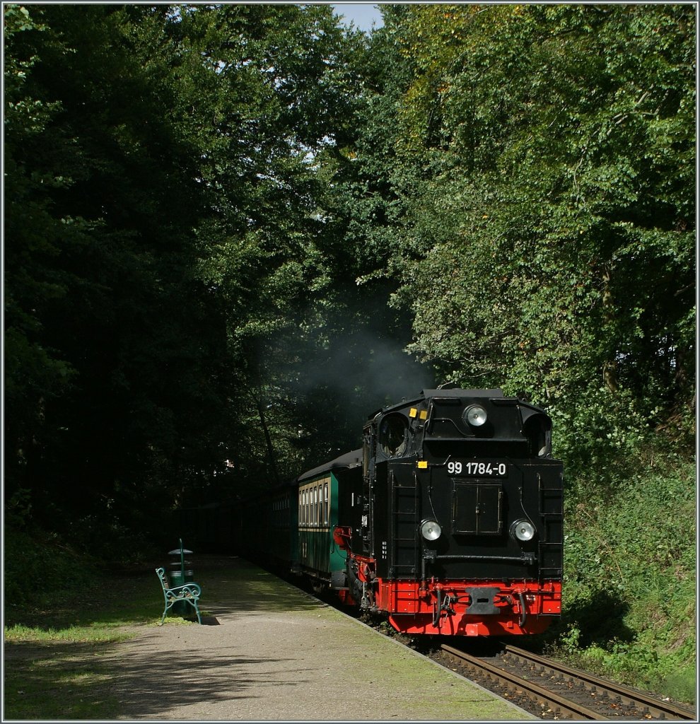 The Rübb 99 1784-0 is coming from the dark wood to Sellin West.
16.09.2010