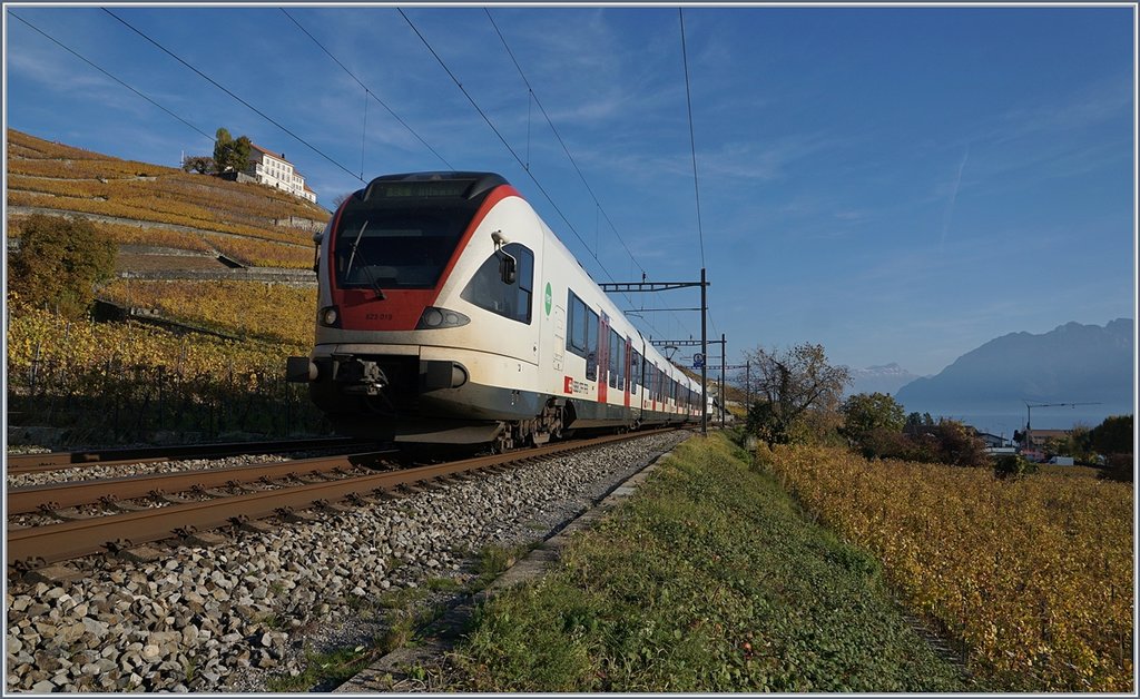 The SBB RABe 523 019 on the way to Allaman by Lutry in the Lavaux.
03.11.2017