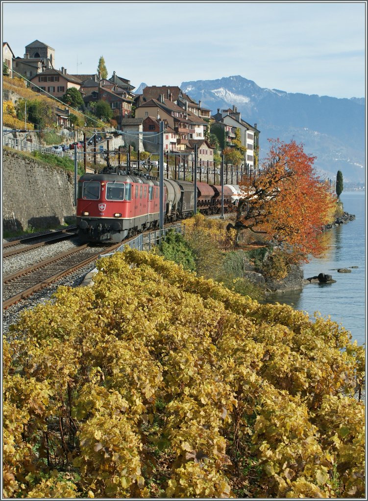 The SBB Re 4/4 II 11185 and an other one wiht an Cargo train by St-Saphorin.
04.11.2010