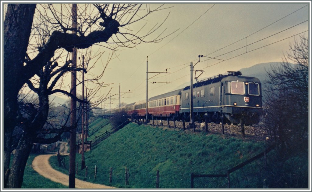 The SBB Re 6/6 11649 with the IC  Mont Blanc  from Geneva to Hamburg between Lengnau and Grenchen Sd on the MLB-Line.
Spring 1985