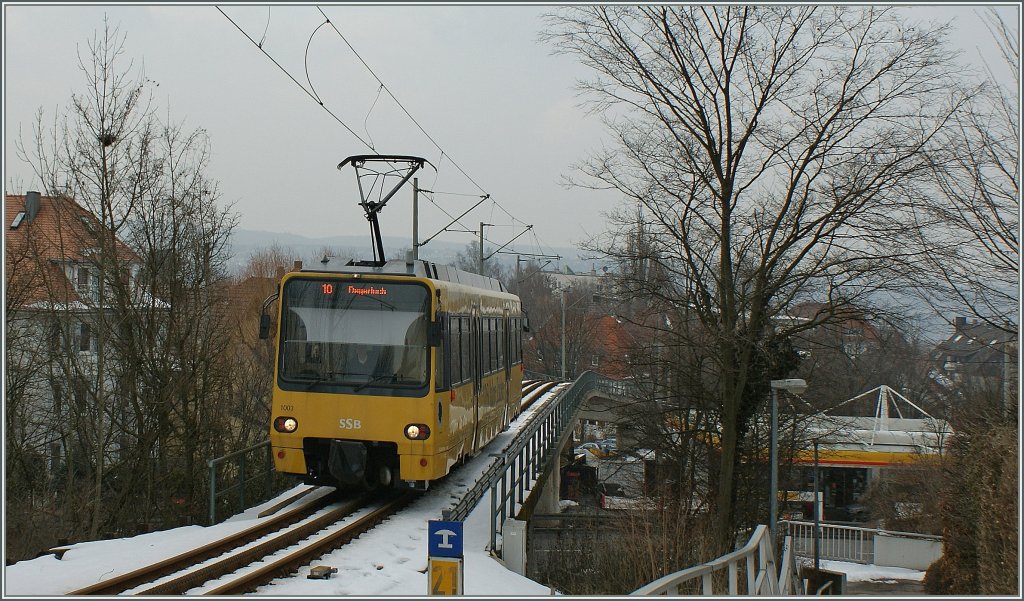 The SSB  Zacke  between Marienplatz and Degerloch. 13.03.2010

