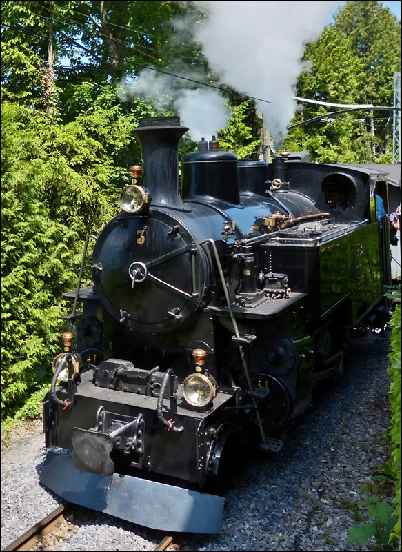 The steam engine DFB HG 3/4 N 3 of the heritage railway Blonay-Chamby pictured near the depot of Chaulin on May 27th, 2012.