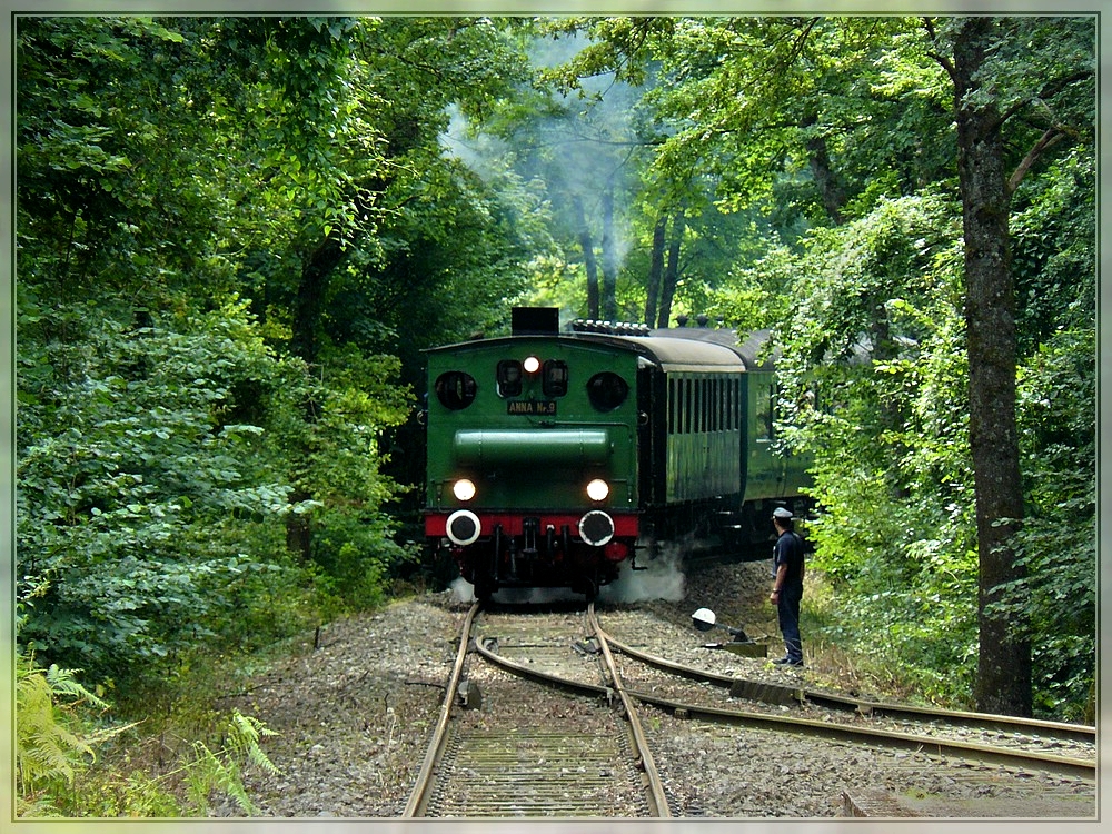 The steam engine N 9  Anna  is arriving in Fuussbsch on August 17th, 2008.