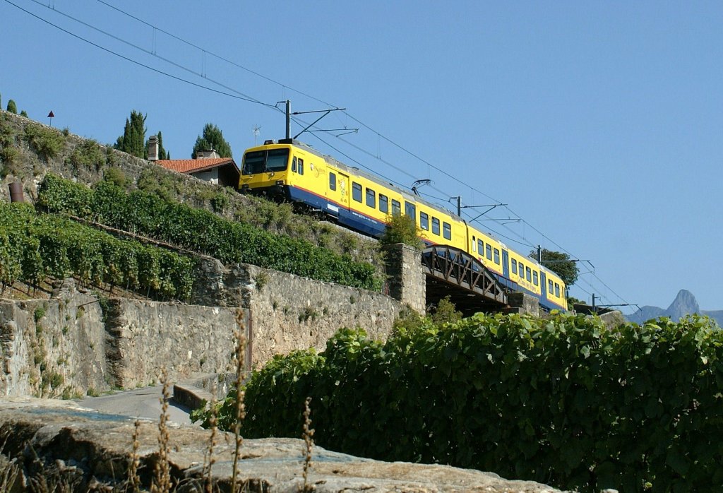 The  Train de Vignes/Vineyard Train  in his elements...
06.09.2009