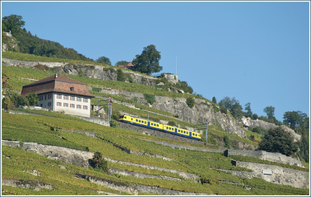 The  Train des Vignes  in the vineyards. 
03.10.2010