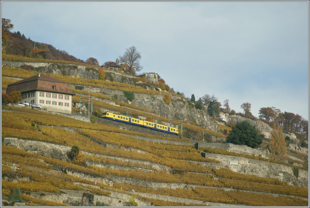 The  Train des Vignes  (Vineyard train) between Vevey and Chexbres Village. 
04.11.2010