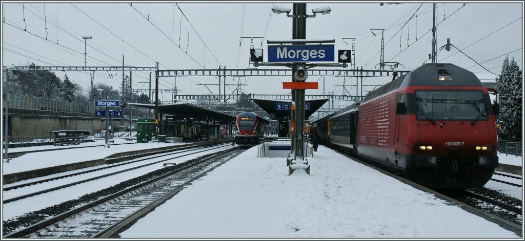 There is not really often snow in Morges; SBB Re 460 79-7 with an IR to Geneva. 
15. 01.2013