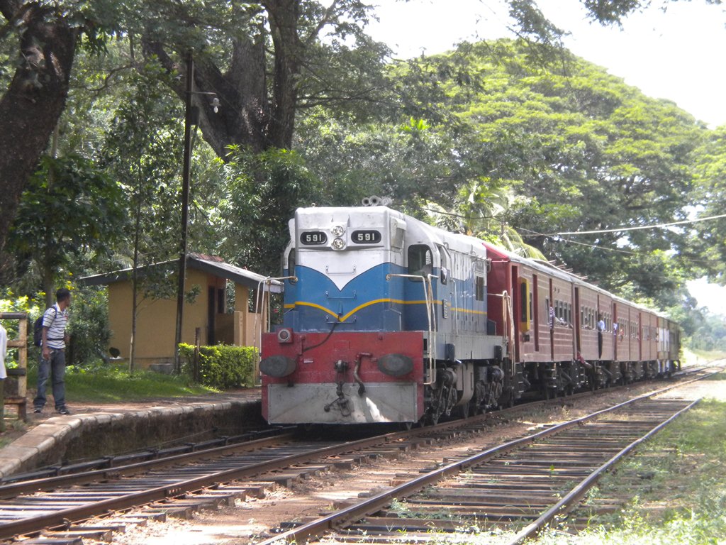 These pictures are in memory of Tsunami 

On 2004 Dec 26th EMD GM Class M2 591 “ Manitoba” was pulling one of the passenger train from Colombo on the coastal line when it got caught to Tsunami. To escape from the waves thousands of people got into the train when it stopped due to a signal failure. Except very few people thousands washed away with the train, It became one of the major train tragedies in the world.  Few years after Tsunami, 591 was back on tracks. This was captured on Sep 9th 2010 when it was plying a passenger train on the main line.   

