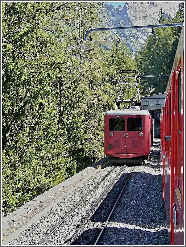 Train N 45 meets another train of the Mer de Glace railway on August 3rd, 2008.