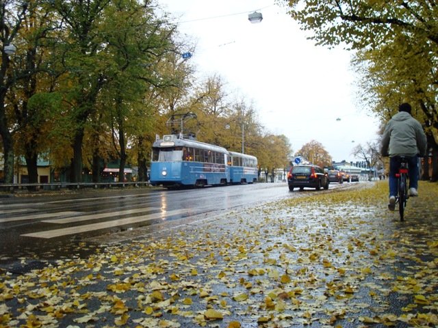 Tram no 331 + 615 Skansen 2009 - 10 - 25