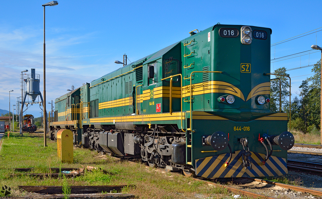 Two 644 diesel locomotives stand at the station of Pragersko, awaiting their next call to duty. /28.09.2012